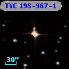 TYC  198-987-1