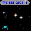 TYC  199-2029-1