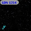 LDN 1254