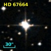 HD  67664