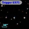 Trigger  6975