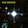 HD  66593