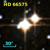 HD  66575