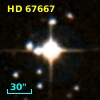 HD  67667