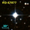 HD  67877