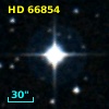 HD  66854