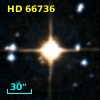 HD  66736