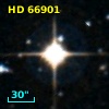 HD  66901