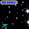 HD  66981