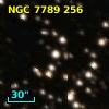 NGC  7789   256