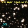 Cl* NGC 7789      M     733