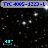 TYC 4005-1223-1