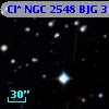 Cl* NGC 2548    BJG     311