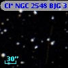 Cl* NGC 2548    BJG     313