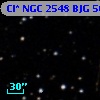 Cl* NGC 2548    BJG     501