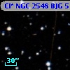 Cl* NGC 2548    BJG     516