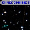 Cl* NGC 2548    BJG     530