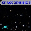 Cl* NGC 2548    BJG     538