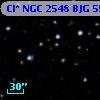 Cl* NGC 2548    BJG     556