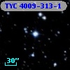 TYC 4009-313-1