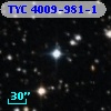 TYC 4009-981-1