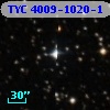 TYC 4009-1020-1