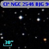 Cl* NGC 2548    BJG     968