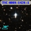 TYC 4009-1428-1