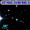 Cl* NGC 2548    BJG    1207