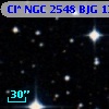 Cl* NGC 2548    BJG    1294