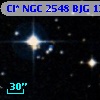 Cl* NGC 2548    BJG    1307