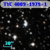 TYC 4009-1978-1