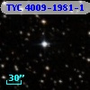 TYC 4009-1981-1