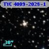 TYC 4009-2028-1