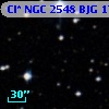 Cl* NGC 2548    BJG    1737