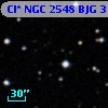 Cl* NGC 2548    BJG    3133