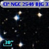 Cl* NGC 2548    BJG    3333