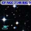 Cl* NGC 2548    BJG    3401