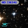 HD 236341