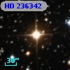 HD 236342