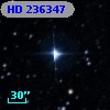 HD 236347