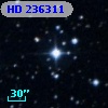 HD 236311