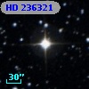 HD 236321