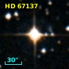 HD  67137