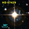 HD  67429