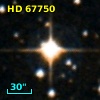 HD  67750