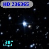 HD 236365