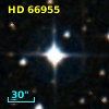 HD  66955