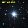 HD  66956