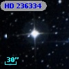 HD 236334
